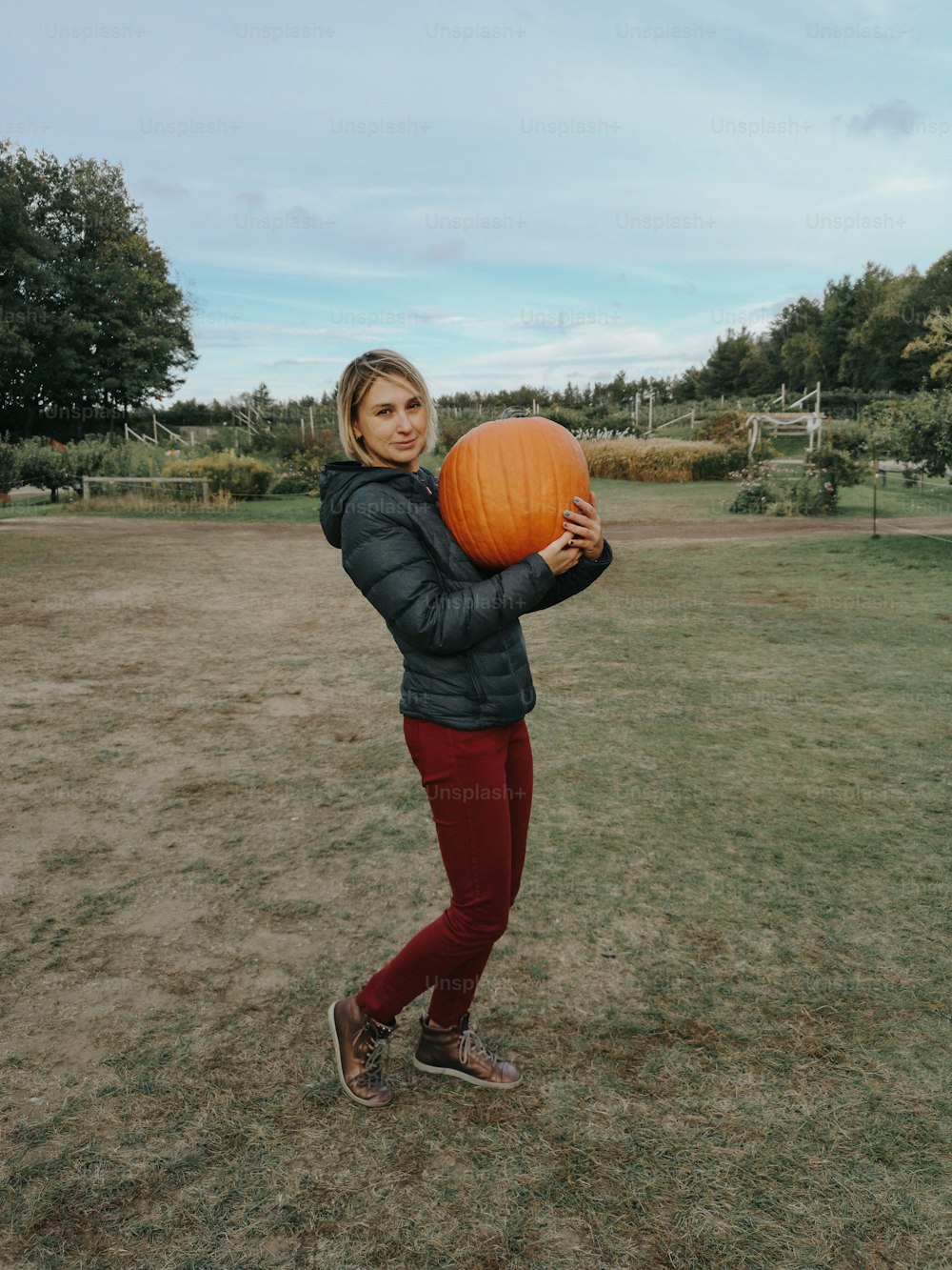 Happy Caucasian woman in jacket and red pants on farm carrying holding huge giant orange pumpkin for Thanksgiving or Halloween holiday. Fresh apples harvest. Seasonal activity hobby.