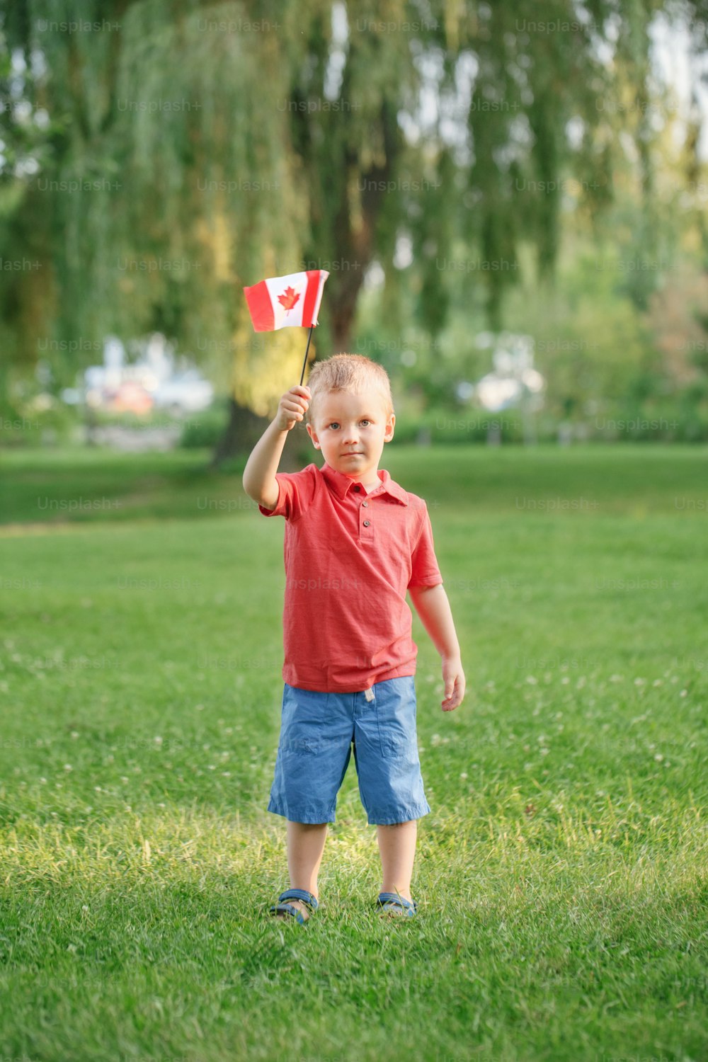 Caucasian child boy holding waving Canadian flag outdoor. Kid child citizen celebrating Canada Day holiday on 1st of July in park on summer day. Patriotic proud citizen of Canada.