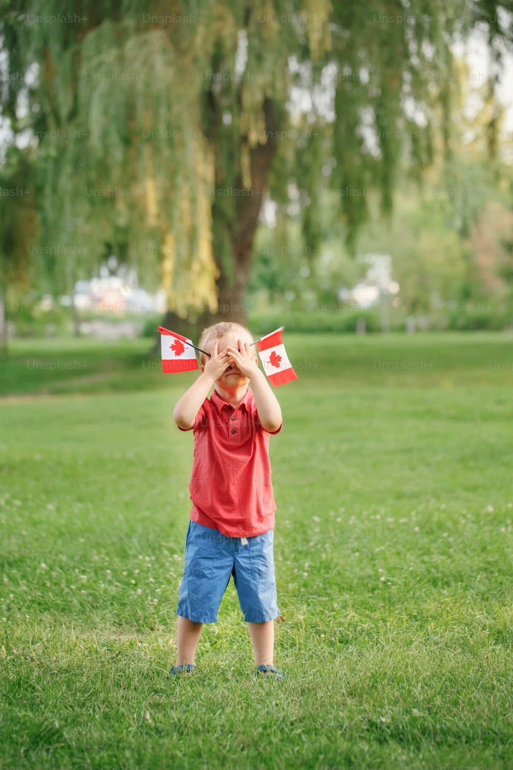 Caucasian baby toddler boy standing on green grass in park outside and holding waving Canadian flag. Kid child citizen celebrating Canada Day on 1st of July.