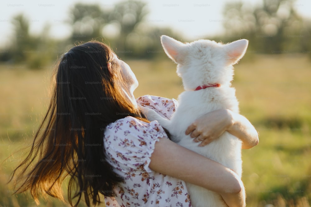 Woman hugging cute white puppy in warm sunset light in summer meadow, back view. Casual young female cuddling with adorable swiss shepherd fluffy puppy. Beautiful moment of happiness