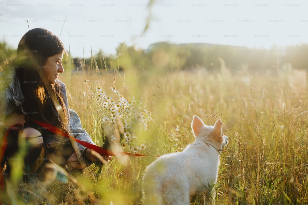 Cute white puppy sitting in grass in summer meadow with owner in warm sunshine. Adorable fluffy puppy swiss shepherd relaxing in  park. Adoption concept, loyal friend