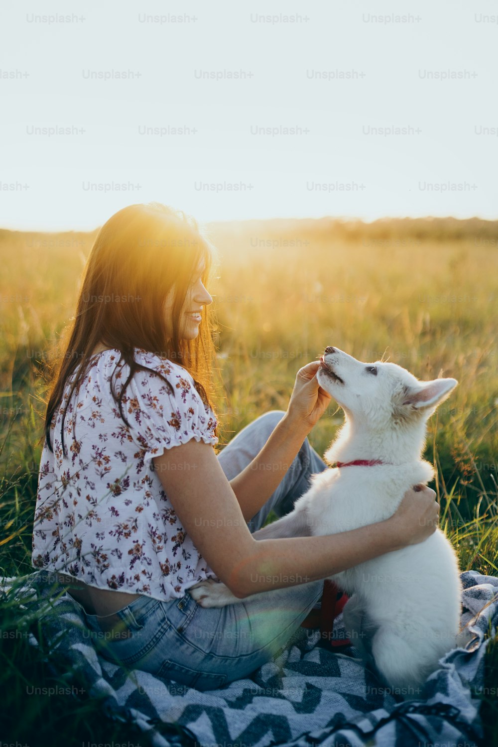Glückliche Frau, die süßen weißen Welpen trainiert, um sich auf der Sommerwiese bei Sonnenuntergangslicht zu verhalten. Stilvolle lässige junge Frau, die sich mit entzückendem Schweizer Schäferhund entspannt flauschiger Welpe. Urlaub mit Haustier