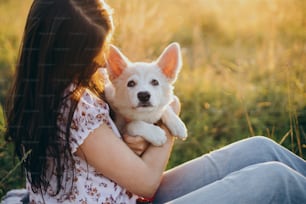 暖かい夕焼けの光の中で夏の牧草地でかわいい白い子犬と寄り添う幸せな女性。愛らしいスイスシェパードの子犬とリラックスするカジュアルな若い女性。幸福。ペットと過ごす夏休み
