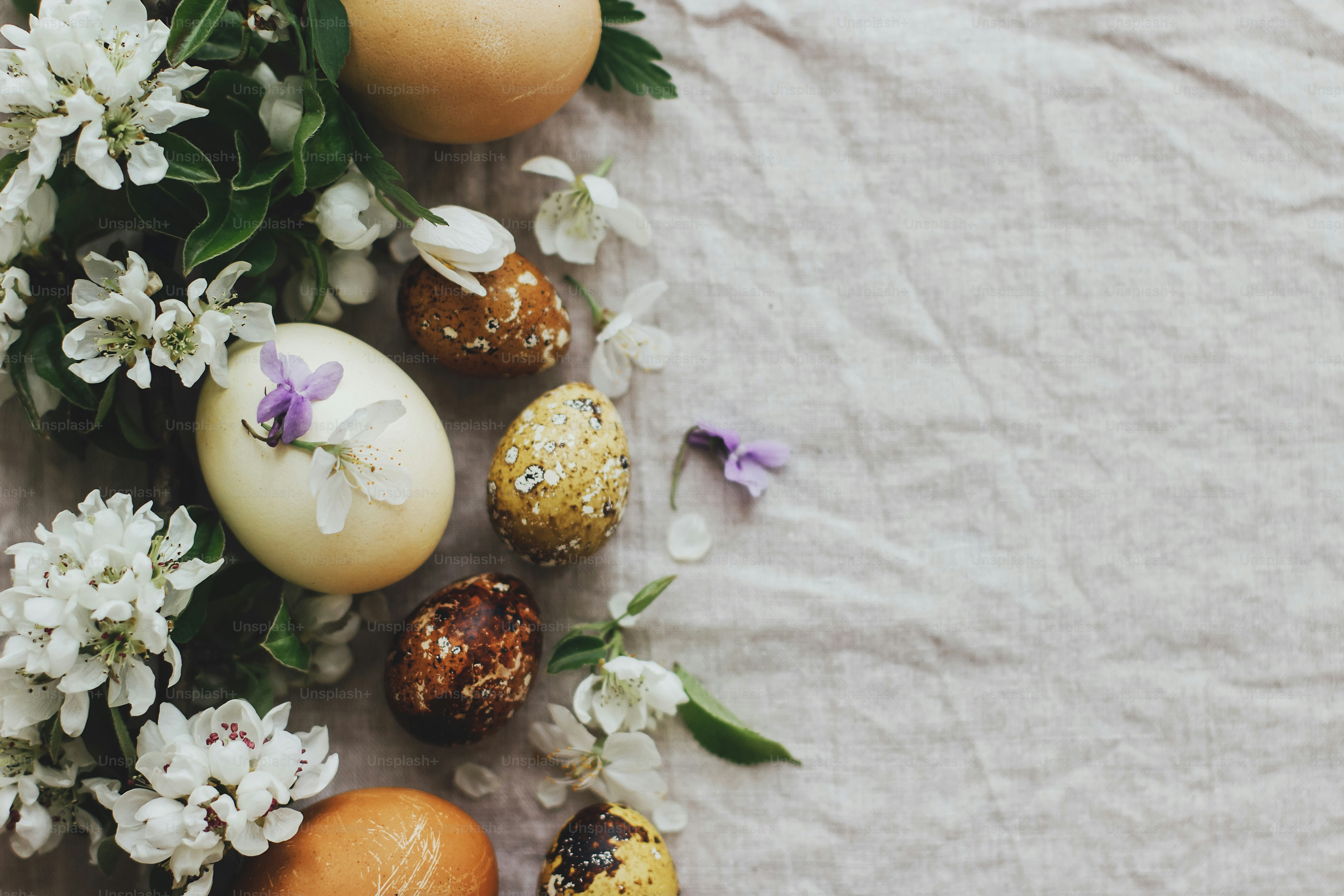 Happy Easter! Easter rustic flat lay with eggs and spring flowers on ...