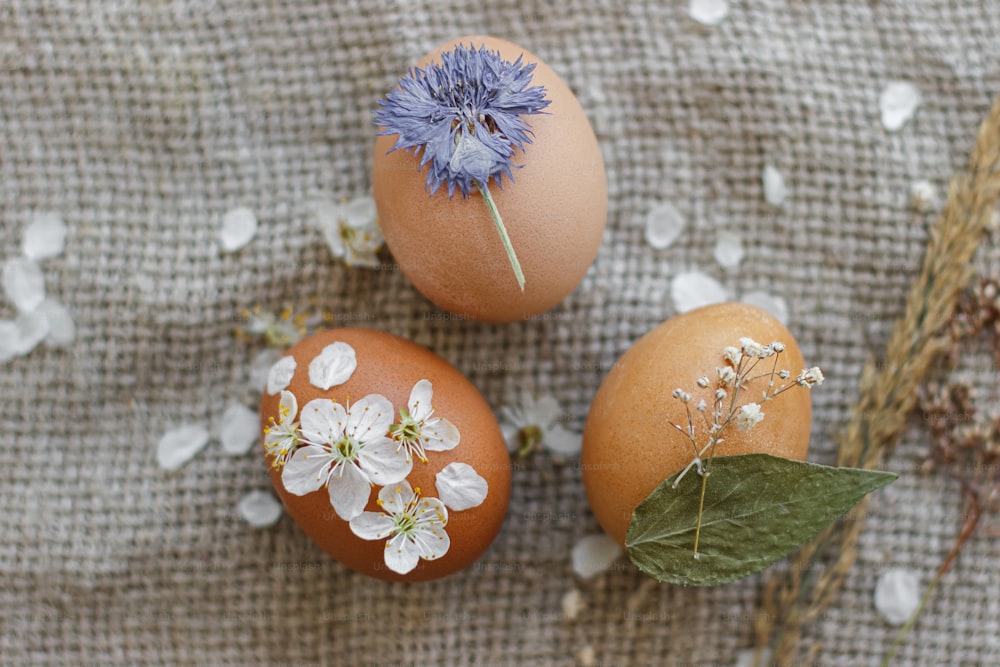 Happy Easter, rustic flat lay. Stylish Easter eggs decorated with dry flowers and cherry blossom petals on linen napkin with wildflowers and herbs. Creative natural eco friendly decor of eggs.
