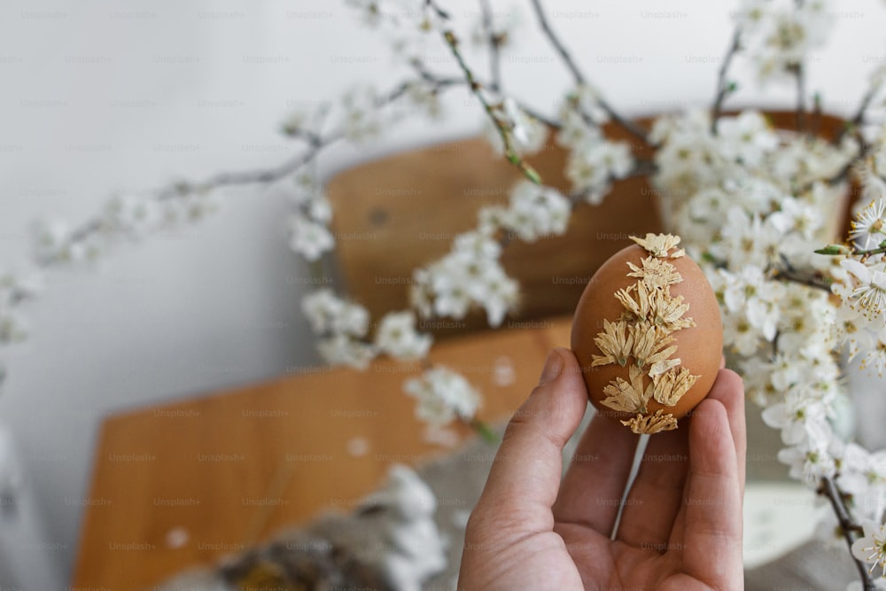 Hand holding Easter egg decorated with dry flower petals on background of rustic table with linen napkin, cherry blossom and bunny. Creative natural eco friendly decor of easter eggs. Happy Easter