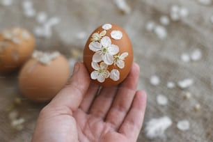 Hand hält Osterei verziert mit Kirschblüten und Blütenblättern auf rustikaler Leinenserviette. Kreatives natürliches, umweltfreundliches Dekor von Eiern mit Frühlingsblüten. Frohe Ostern Grußkarte