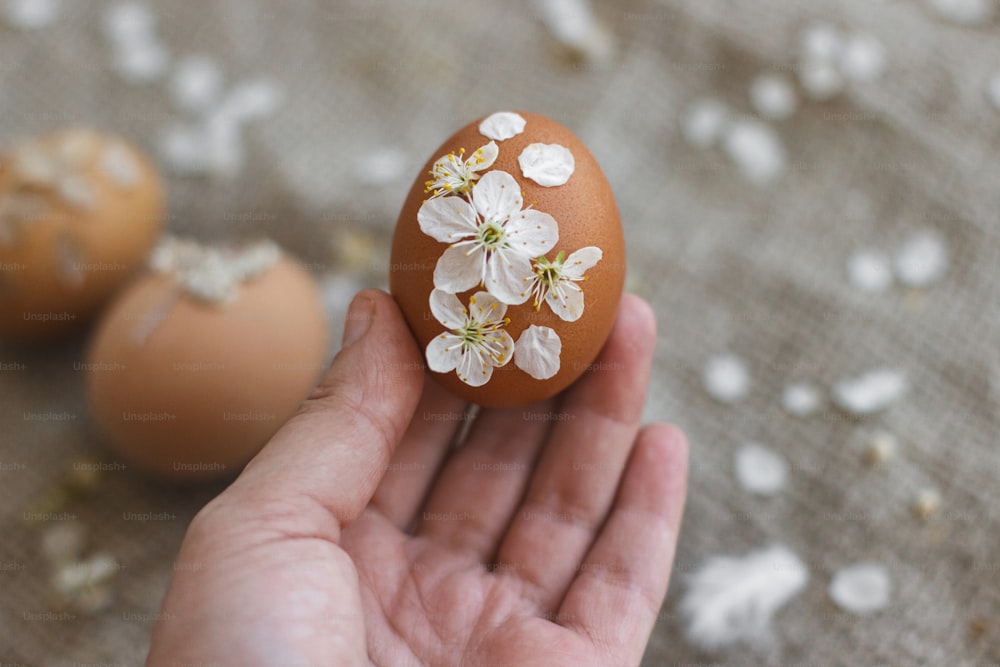 Mano sosteniendo huevo de Pascua decorado con flores de cerezo y pétalos en servilleta de lino rústico. Decoración ecológica natural creativa de huevos con flores de primavera. Tarjeta de felicitación de Feliz Pascua