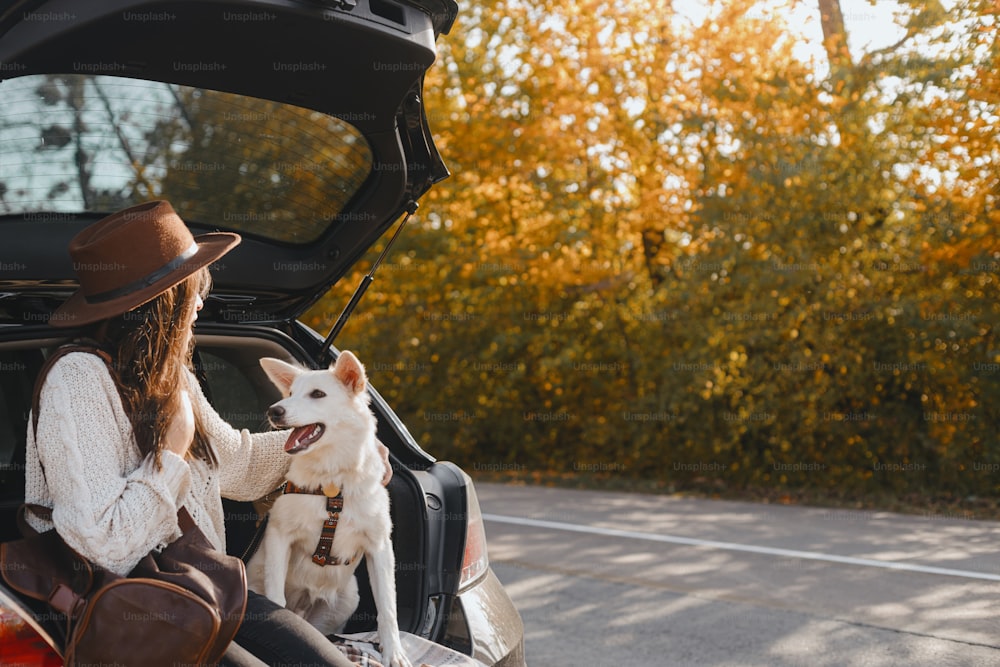 Stylish young woman sitting with cute white dog in car trunk and looking at sunny autumn trees. Road trip with pet. Traveling inside country due to coronavirus pandemic. Space for text