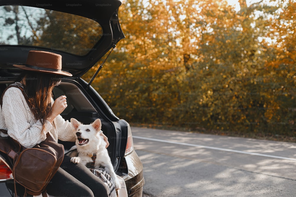 Roadtrip mit Haustier. Stilvolle junge Frau sitzt mit süßem weißen Hund im Kofferraum an der sonnigen Herbststraße. Glückliche Hündin reist mit Schweizer Schäferhund Welpe und erkundet die Welt zusammen. Platz für Text