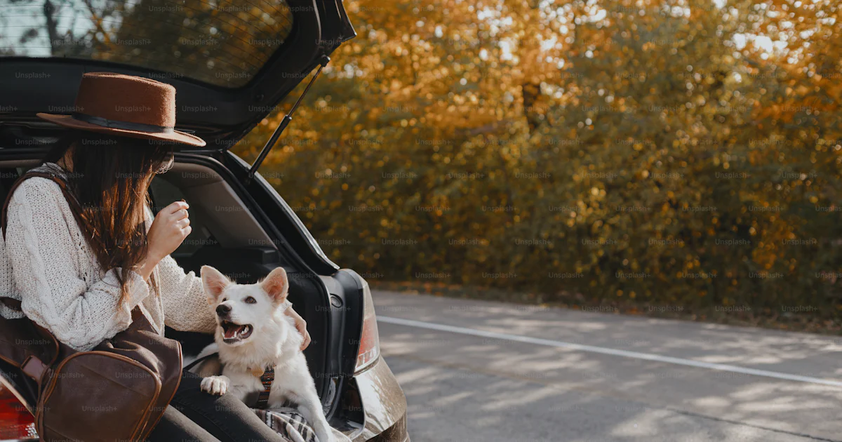 Adventurs Logo In Woman and white dog in car - Photo on Unsplash+