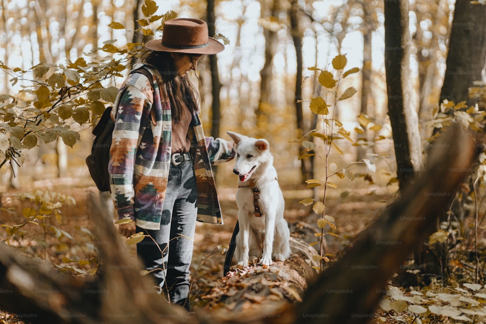Stylish woman training adorable white dog in sunny autumn woods. Cute swiss shepherd puppy learning with treats. Hipster female with backpack playing with her dog in autumn forest. Space for text