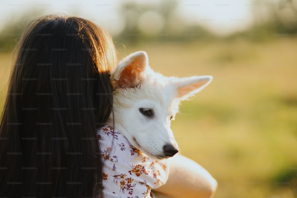 夏の牧草地の暖かい夕焼けの光の中でかわいい白い子犬を抱きしめる女性、後ろ姿。愛らしいスイスシェパードのふわふわの子犬と寄り添うカジュアルな若い女性。幸せな美しい瞬間