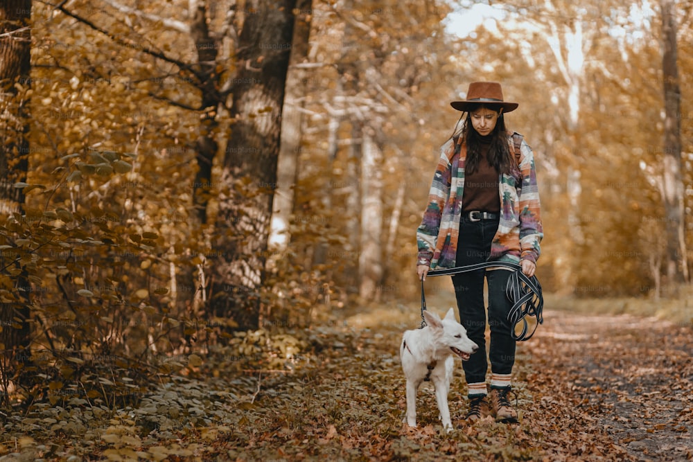 Mulher elegante com mochila de caminhada com adorável cão branco em bosques ensolarados do outono. Filhote de cachorro pastor suíço bonito andando com a viajante fêmea proprietária na floresta de outono. Espaço para texto