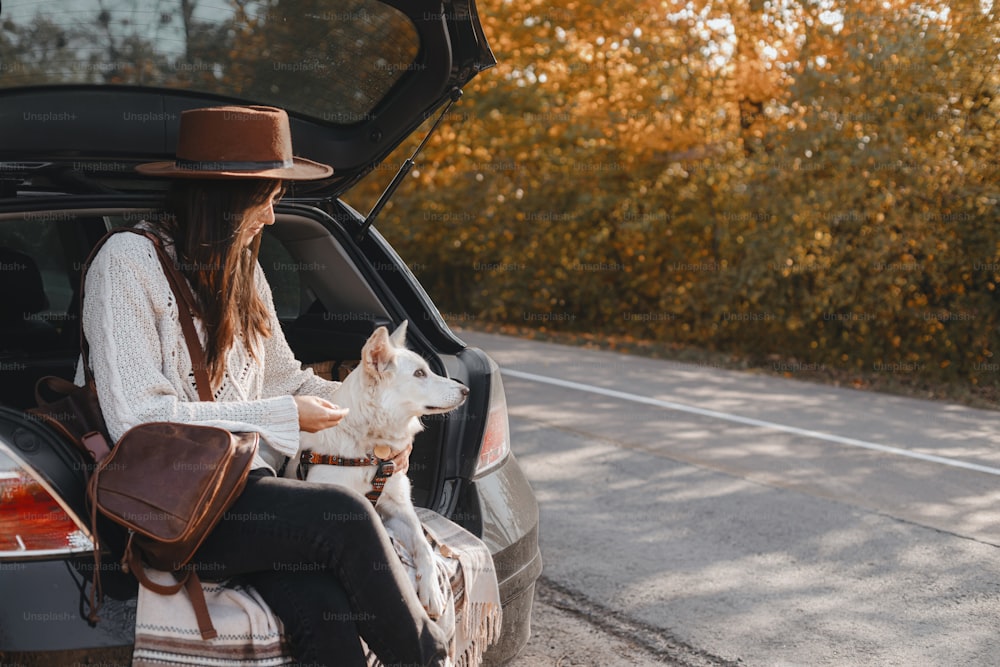 Mujer joven con estilo sentada con un lindo perro blanco en el maletero del automóvil en el camino soleado del otoño. Viaje por carretera con mascota. Hembra feliz que viaja con un cachorro de pastor suizo y exploran el mundo juntos. Espacio para el texto