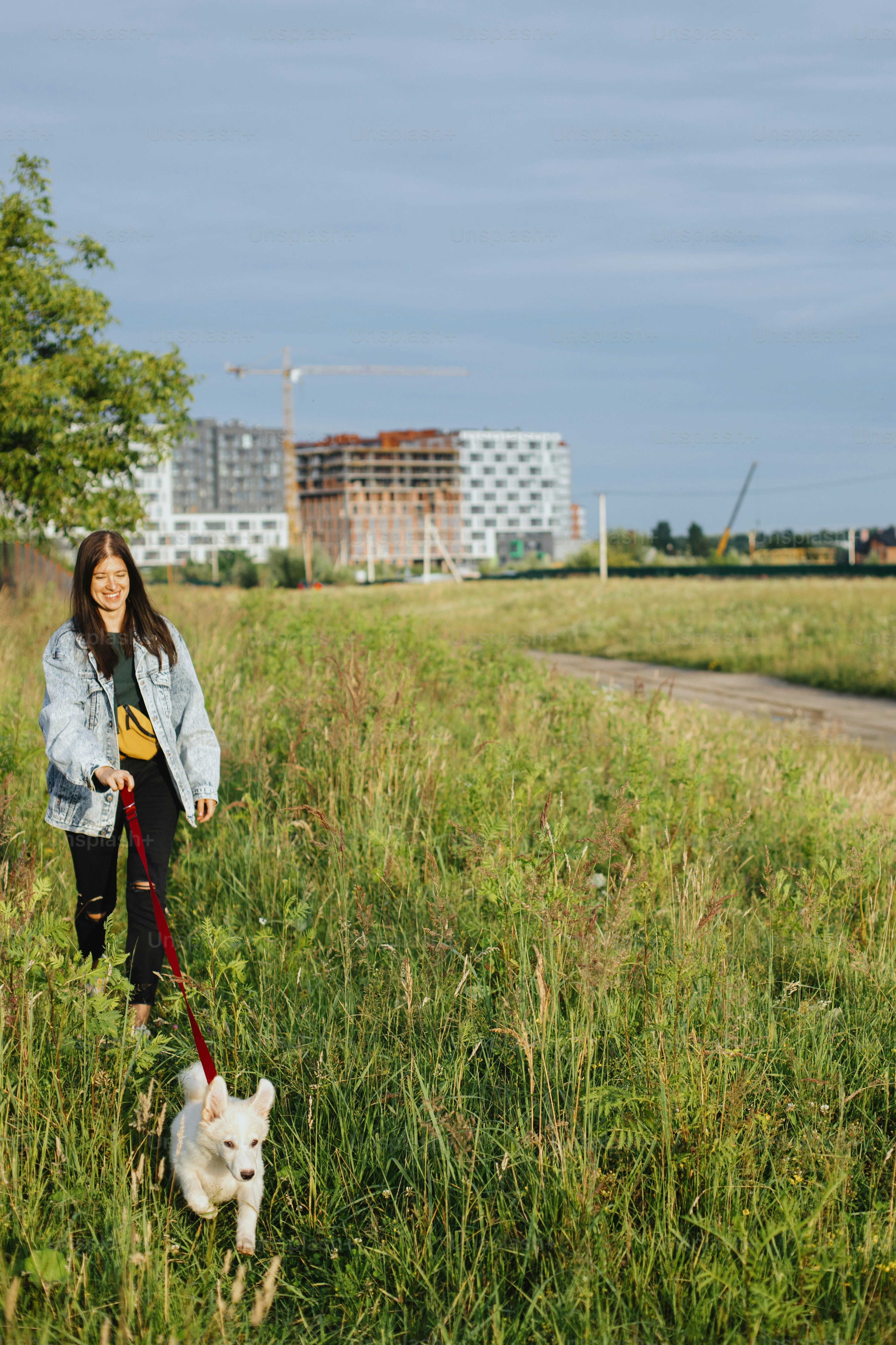Can Puppies Run On Pavement