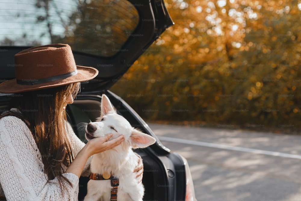 Road trip with pet. Stylish young woman caressing cute white dog in car trunk at sunny autumn road. Happy female traveling with swiss shepherd puppy and exploring world together. Space for text
