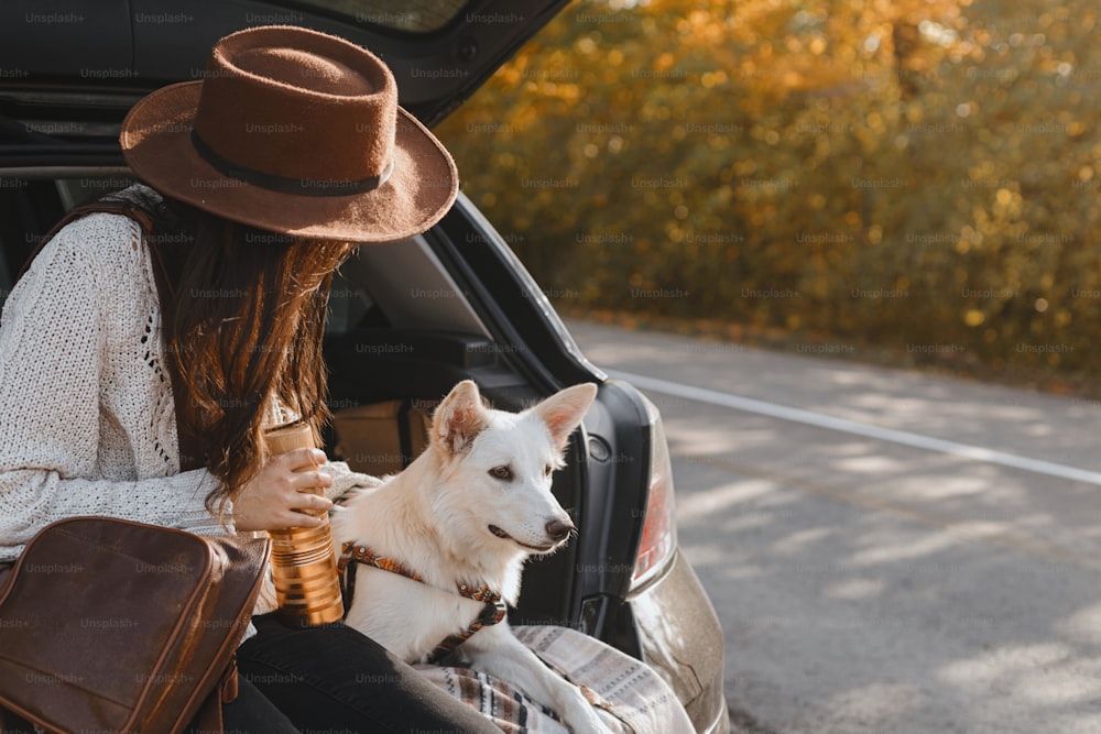Stylish young woman sitting with cute white dog in car trunk and looking at sunny autumn trees. Road trip with pet. Traveling inside country due to coronavirus pandemic. Space for text