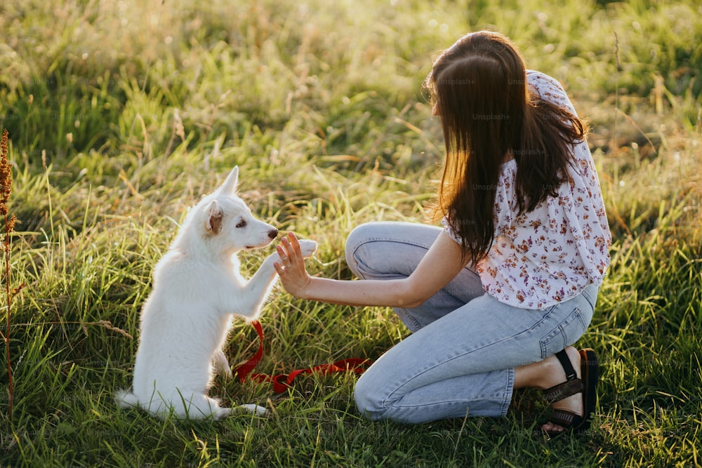 Mujer entrenando a un lindo cachorro blanco para que se comporte y nuevos trucos en el prado de verano a la cálida luz del atardecer. Adorable cachorro de pastor suizo que da la pata y obtiene una recompensa por aprender. Amigo leal. Trabajo en Equipo