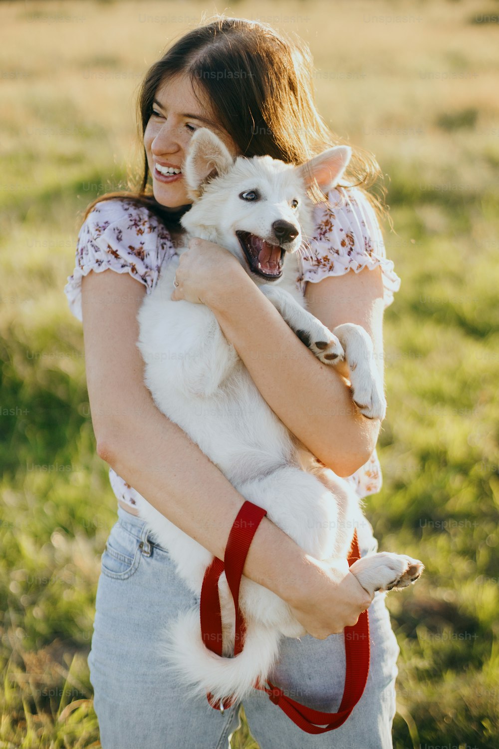 Femme heureuse et élégante étreignant un chiot blanc mignon et drôle dans la lumière chaude du coucher du soleil dans la prairie d’été. Jeune femme décontractée jouant avec un adorable chiot moelleux de berger suisse. De beaux moments drôles