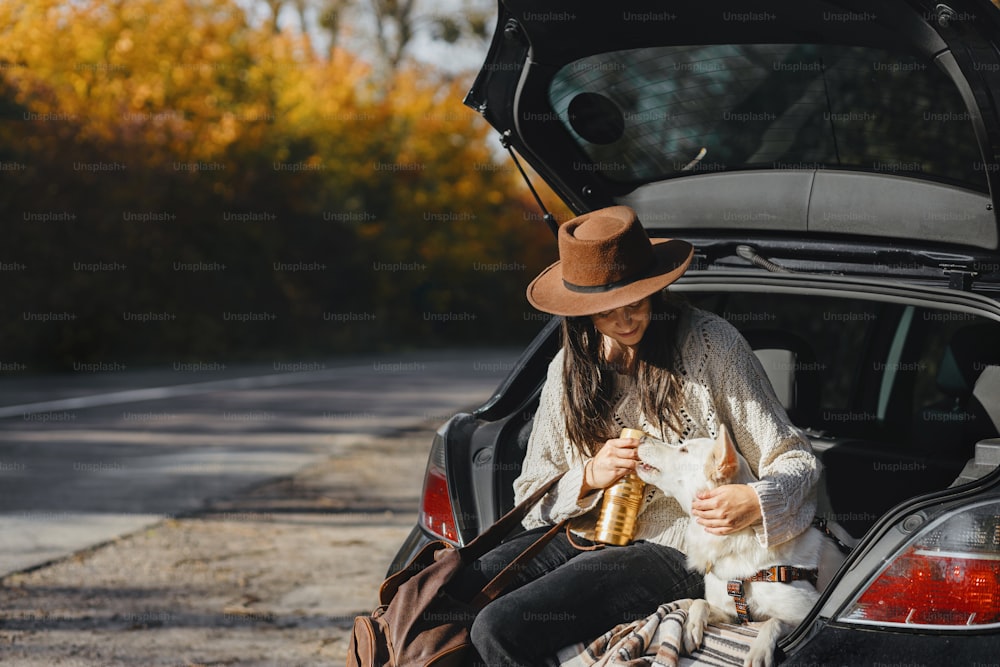 Stylish young woman sitting with cute white dog in car trunk at sunny autumn road. Road trip with pet. Traveling with swiss shepherd puppy inside country due to coronavirus pandemic. Space for text