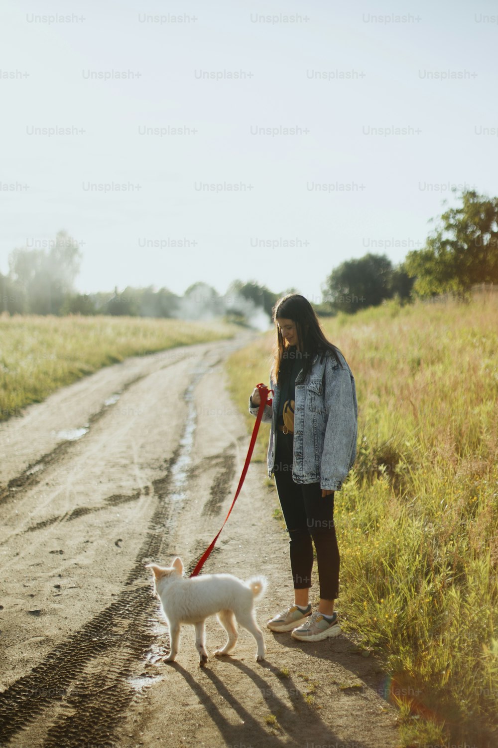 Stylish casual woman walking with cute white puppy in summer park. Young female on a walk with her doggy in warm sunshine light. Adoption concept, loyal friend