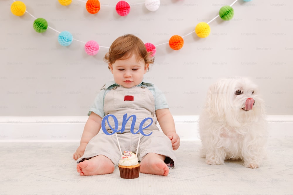 Happy surprised cute Caucasian baby boy celebrating his first birthday at home. Child kid sitting on floor with pet dog. Tasty cupcake dessert with cake topper word one. Happy birthday concept.