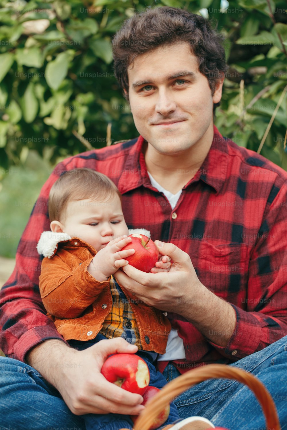 Happy father with baby boy on farm picking apples in wicker basket. Gathering of autumn fall harvest in orchard. Dad feeding son with healthy snack. Seasonal activity hobby.