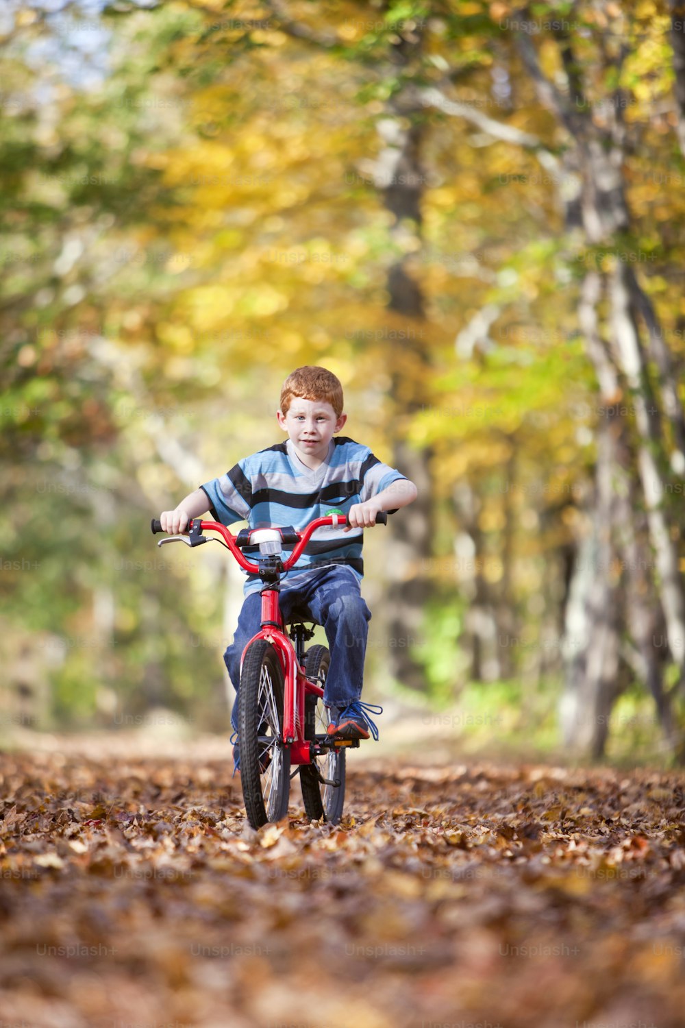 가을 동안 길에 자전거를 탄 어린 소년