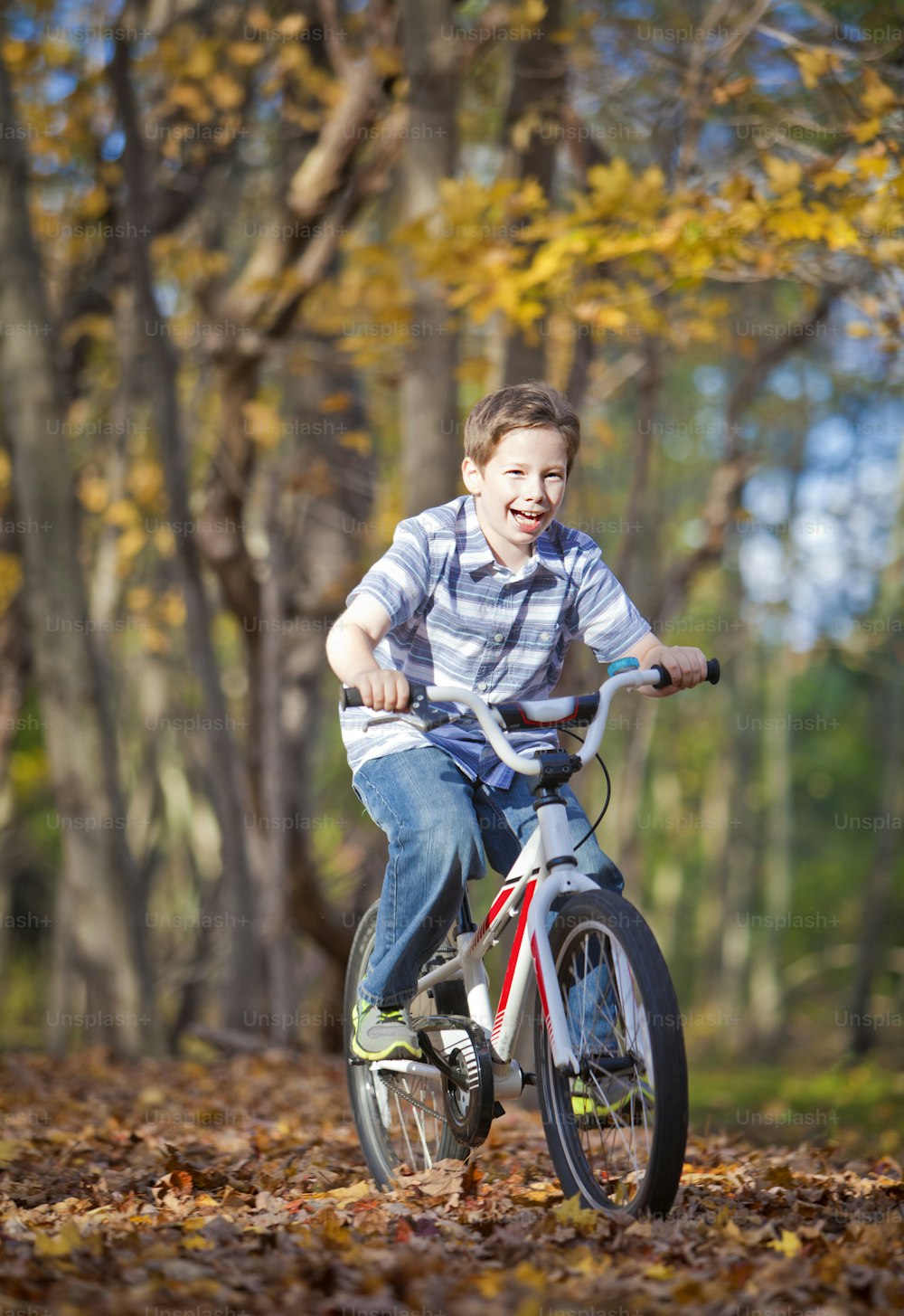 가을 동안 길에 자전거를 탄 어린 소년