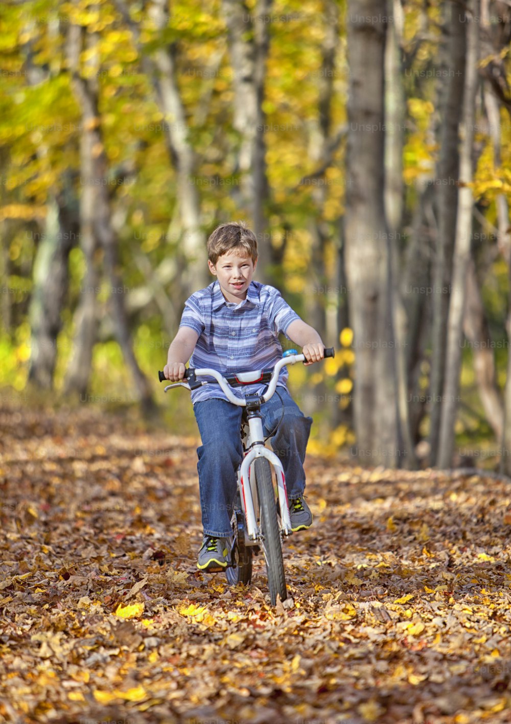Menino novo com bicicleta no caminho durante o outono
