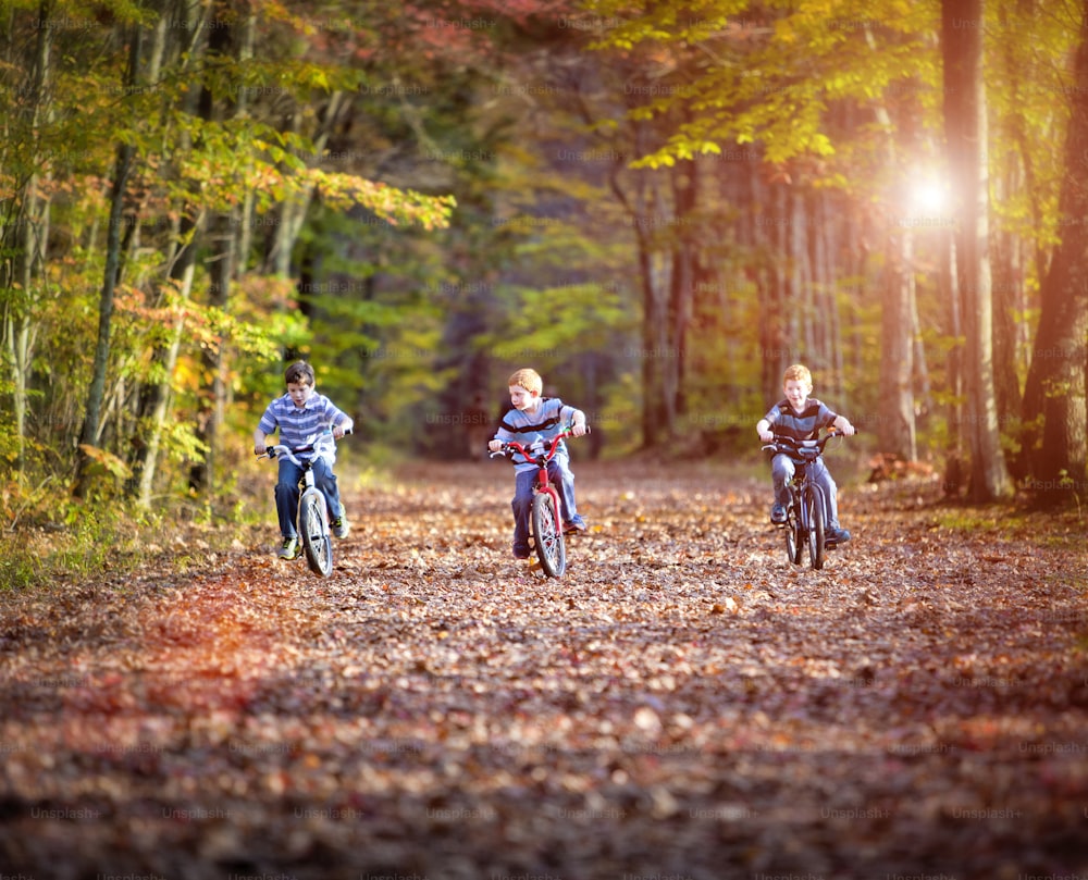 Três meninos pedalando em um caminho no outono