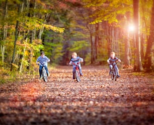 Three boys cycling on a path in fall
