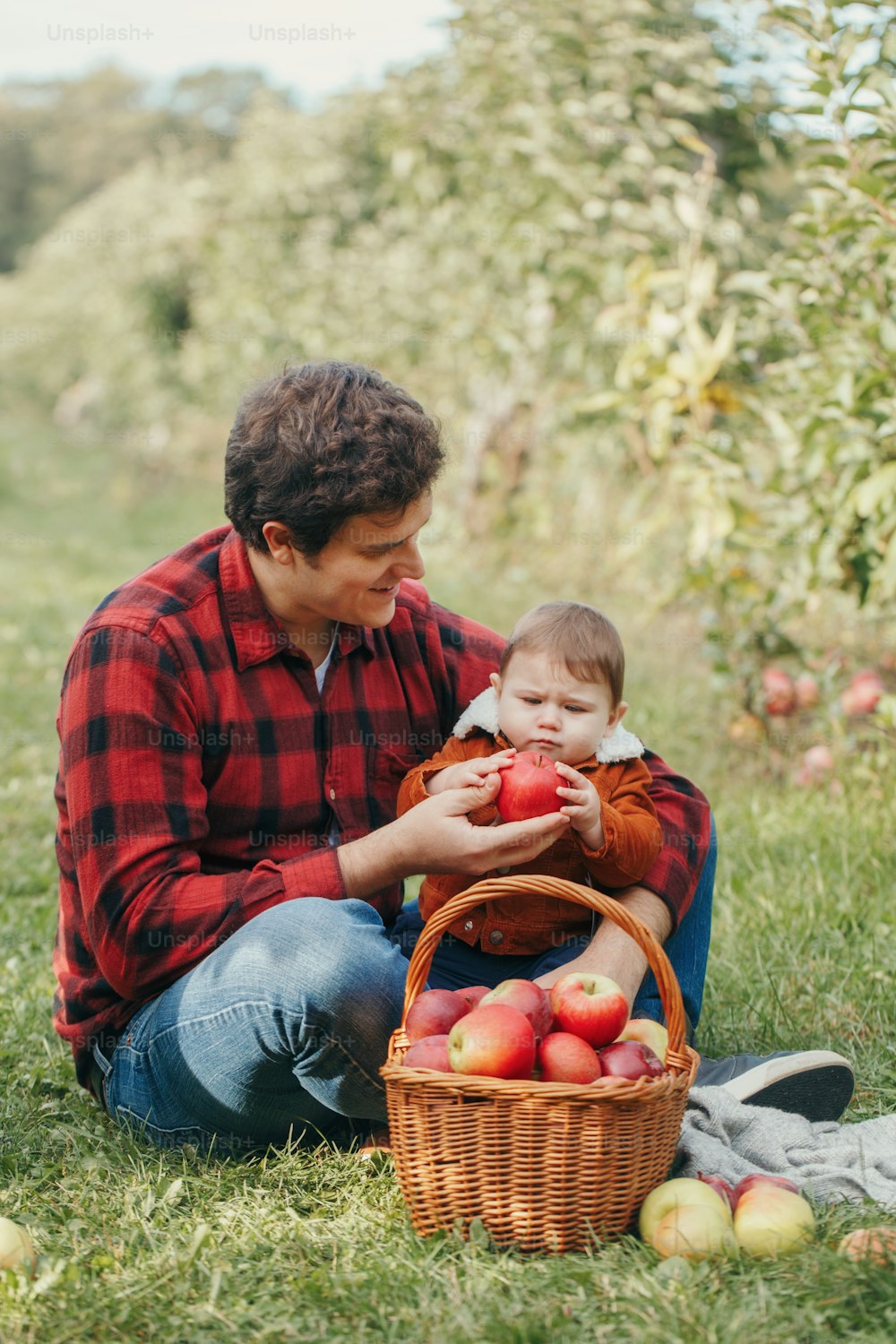 Happy father with baby boy on farm picking apples in wicker basket. Gathering of autumn fall harvest in orchard. Dad feeding son with healthy snack. Seasonal activity hobby.