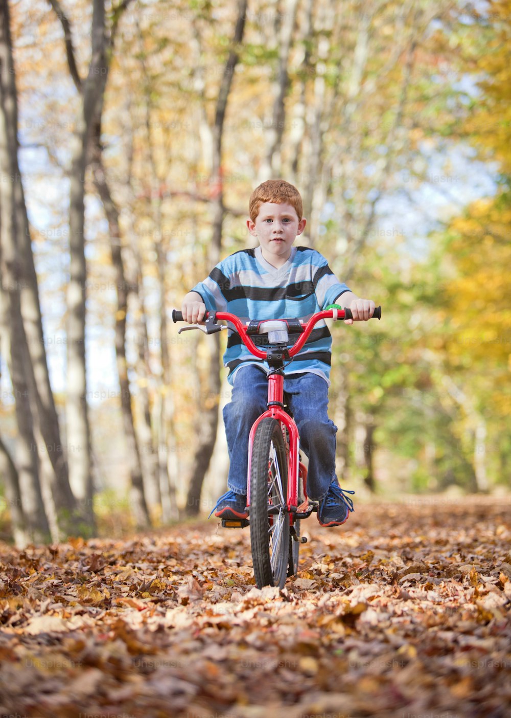 Muchacho joven con bicicleta en el camino durante el otoño
