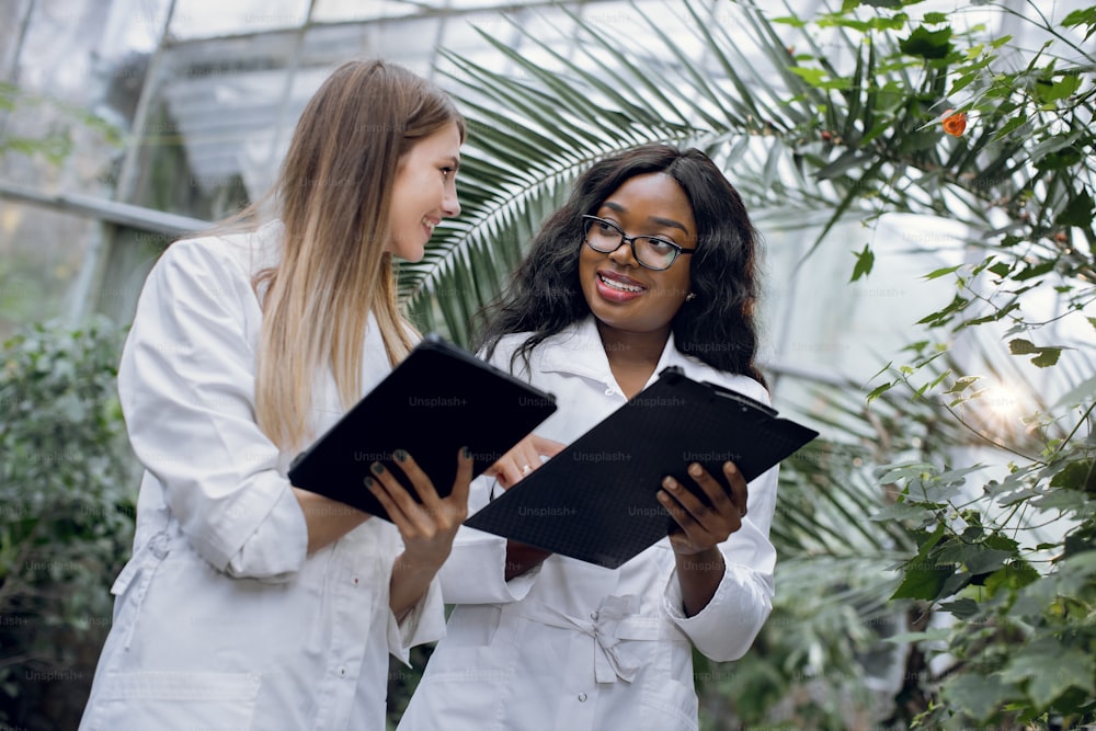 Biotechnology, agronomy, science and engineering concept. Two cheerful female scientists making research, working in hothouse, talking and making notes on tablet pc and clipboard.