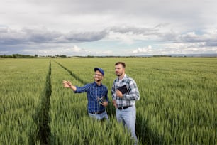 Deux agriculteurs dans un champ de blé vert examinent leurs cultures par temps nuageux.