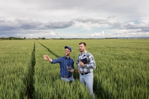 Two farmers in green wheat field examining crop during cloudy day.