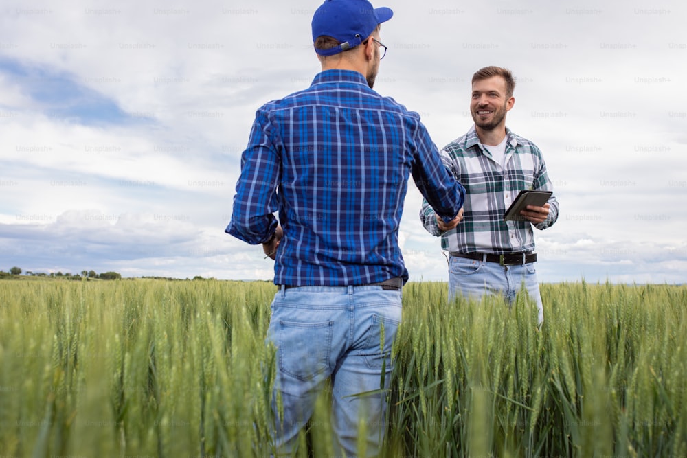 Due agricoltori che fanno accordo con stretta di mano in un campo di grano verde.