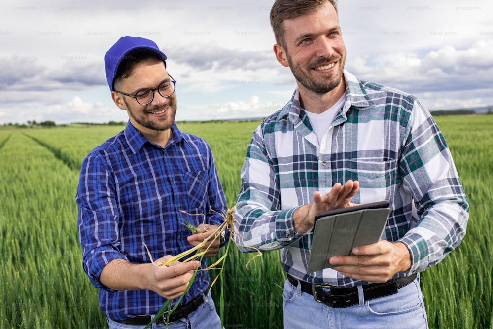 Two farmers in green wheat field examining crop during cloudy day.