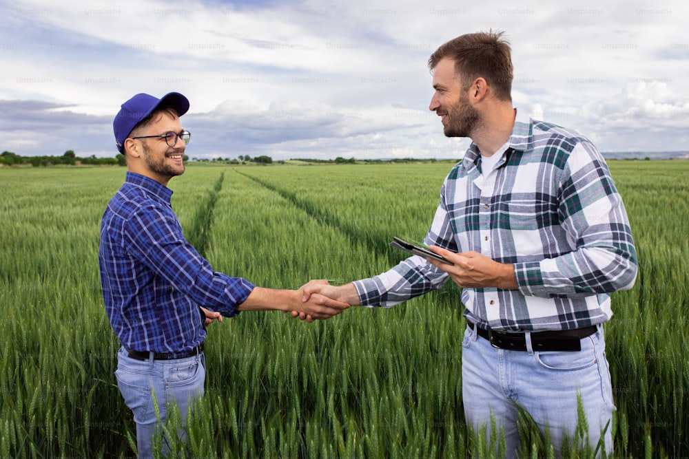 Two farmers making agreement with handshake in green wheat field.