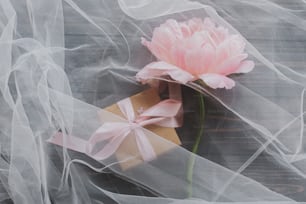 Lovely pink peony flower and gift box under soft tulle fabric on dark wooden background, top view. Soft creative floral greeting card. Happy mothers or womens day. Beautiful spring aesthetics