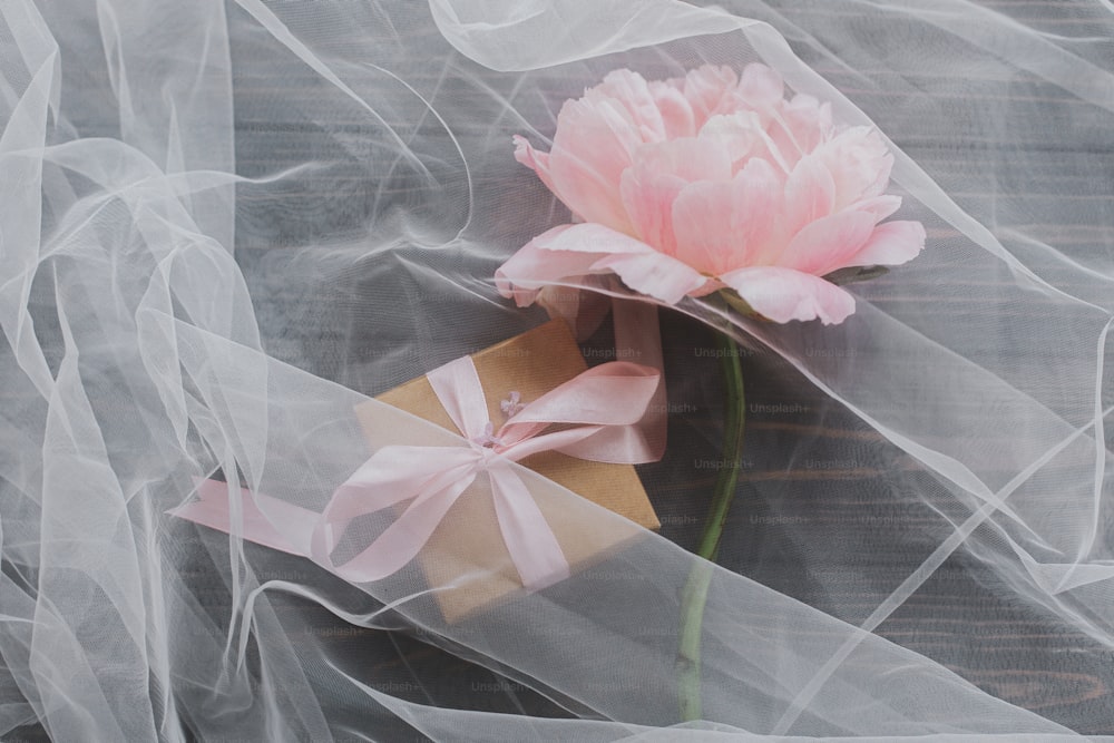 Lovely pink peony flower and gift box under soft tulle fabric on dark wooden background, top view. Soft creative floral greeting card. Happy mothers or womens day. Beautiful spring aesthetics