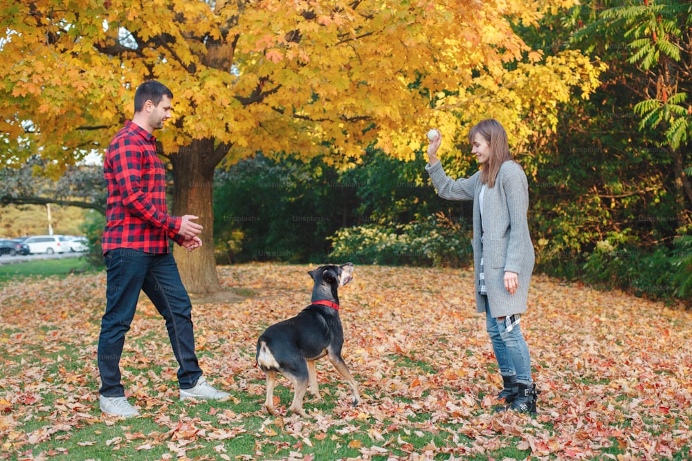 Young couple play ball with dog in park. Man and woman training domestic pet outdoor on autumn fall day. Family authentic lifestyle activity. Love and friendship of animal and human.