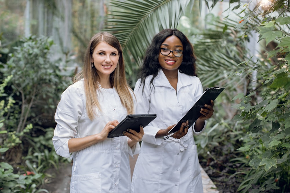 Team of two young pretty multiracial women botanists scientists, working in greenhouse with tropical plants and palm trees, smiling to camera with clipboard and tablet.