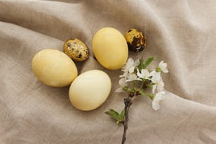 Modern easter eggs with blooming branch on rustic linen cloth background with space for text. Happy Easter! Natural dyed eggs in yellow color on grey textile with spring flowers. Aesthetic