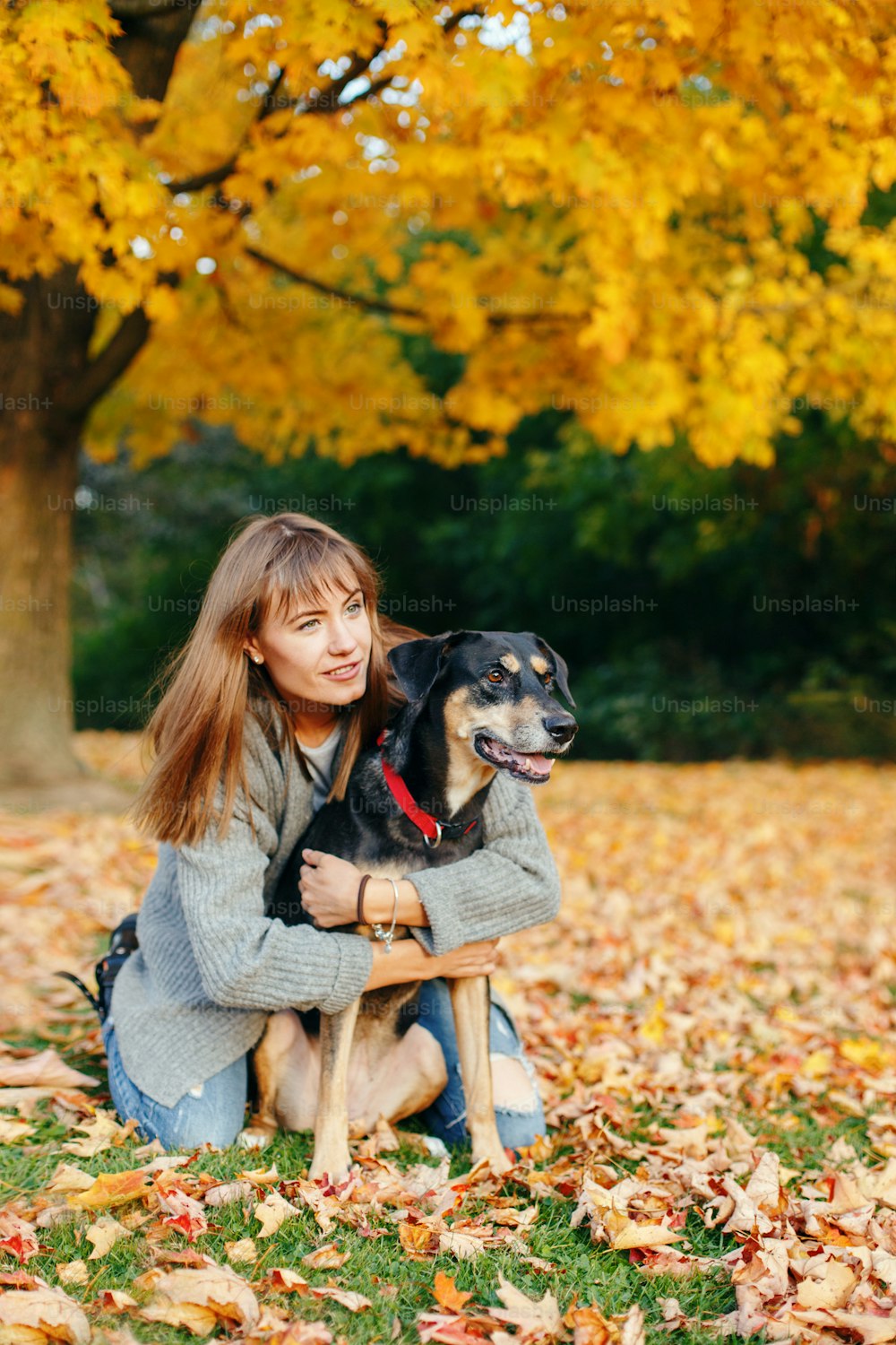 Happy young Caucasian woman sitting on ground hugging dog. Owner walking with pet on autumn fall day. Best friends having fun outdoor. Friendship of human with domestic animal.