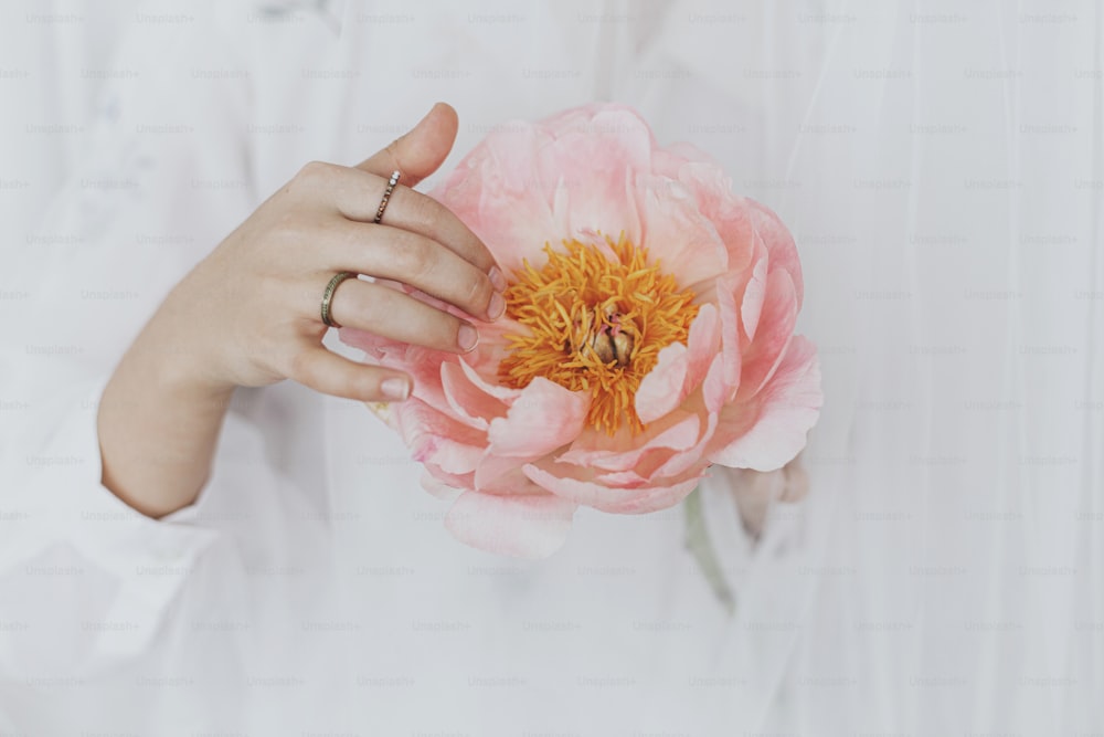 Beautiful stylish woman behind soft white tulle holding peony in hands. Young female gently holding big pink peony flower. Sensual soft image. Spring aesthetics. Womens day