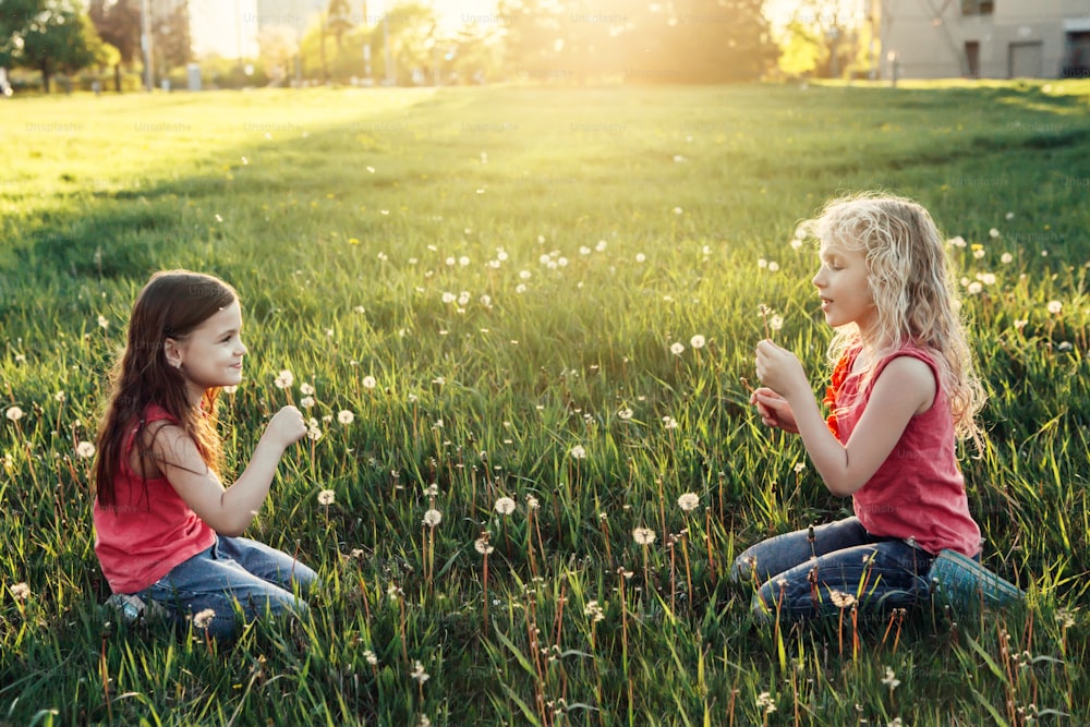 민들레를 부는 귀여운 사랑스러운 백인 소녀들. 초원의 풀밭에 앉아 있는 아이들. 야외 활동 여름 계절 어린이 활동. 함께 즐거운 시간을 보내는 친구들. 행복한 어린 시절 생활 방식.