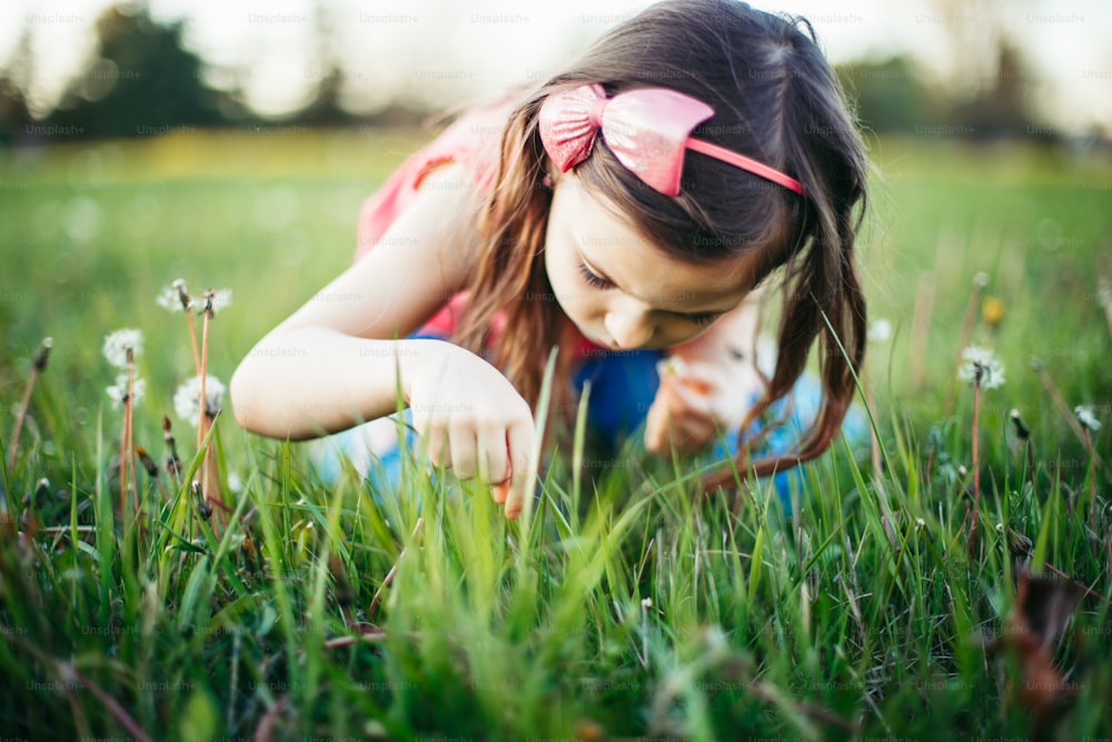 Ragazza caucasica adorabile carina che raccoglie fiori denti di leone. Bambino seduto nell'erba sul prato. Attività per bambini di stagione estiva divertente all'aperto. Bambino che si diverte. Stile di vita infantile felice.